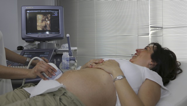 těhotná na ultrazvuku