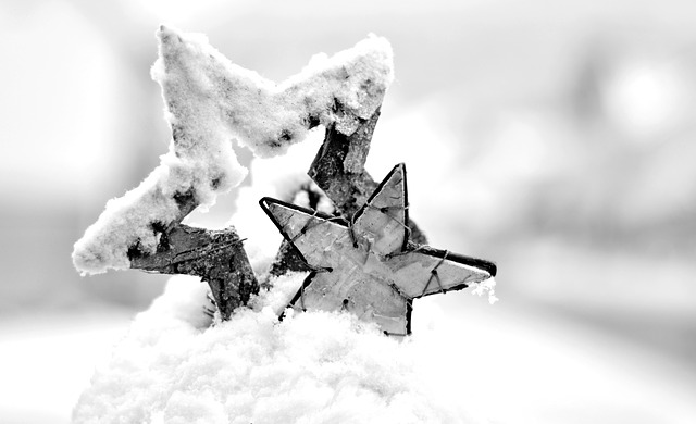 hvězdy ve sněhu